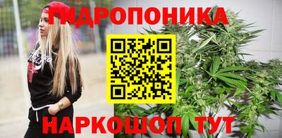 стаф Лесосибирск