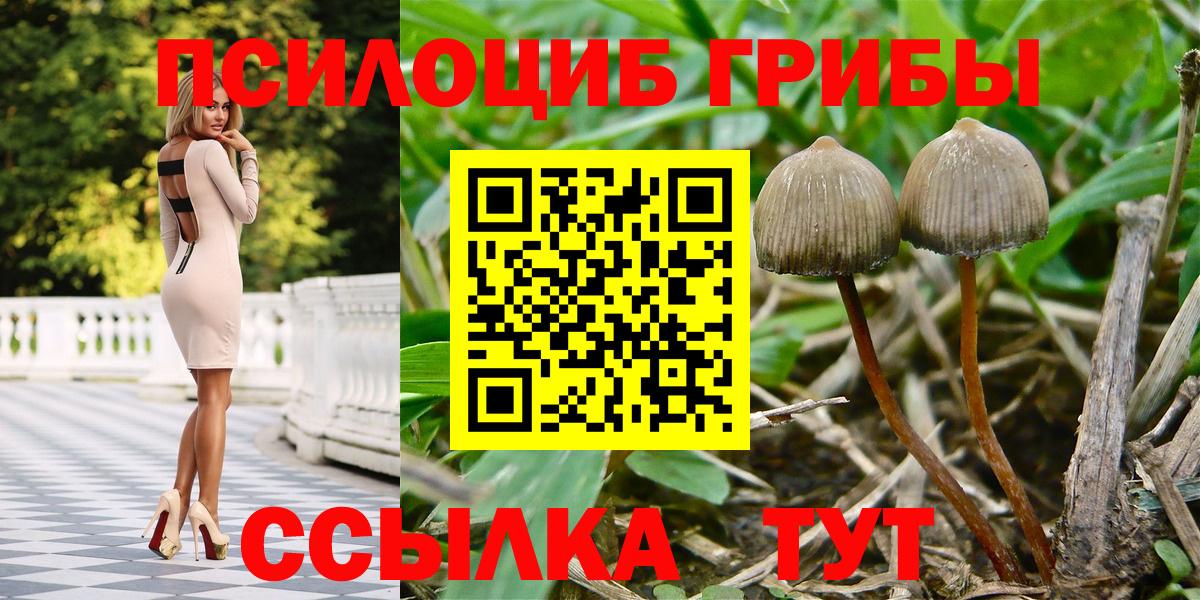 Галлюциногенные грибы GOLDEN TEACHER  Вход с VPN  Чебоксары 