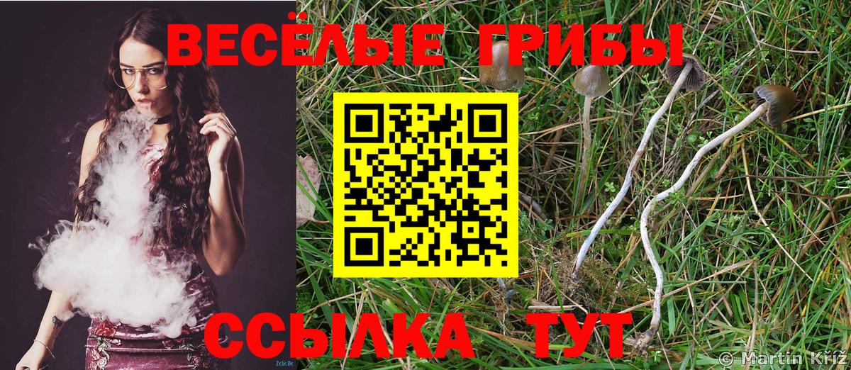 Галлюциногенные грибы мухоморы Чебоксары